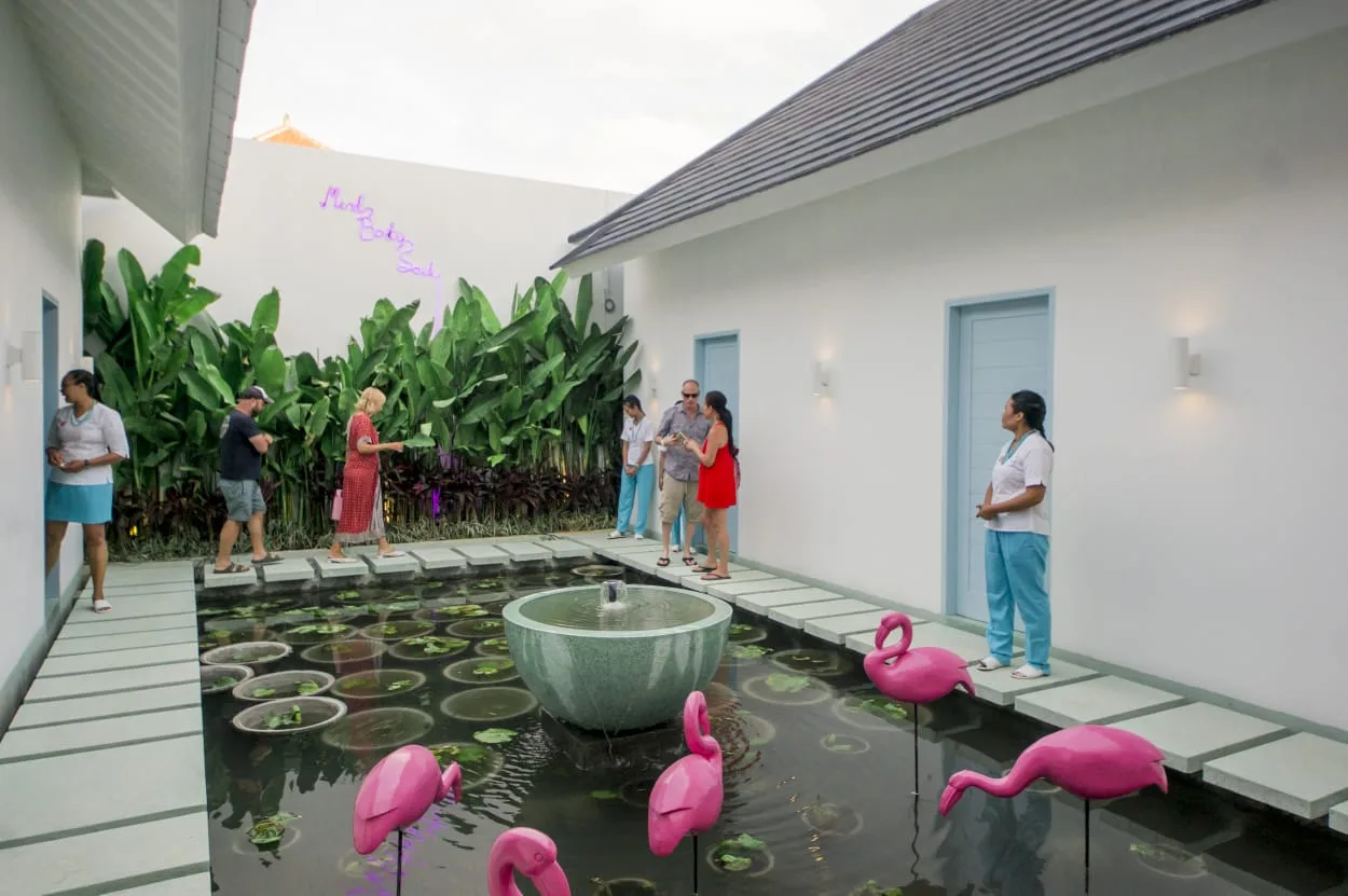 The flamingo pool courtyard at Tonic Canggu